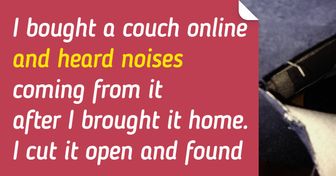20+ Lucky People Revealed the Treasures They Found Online