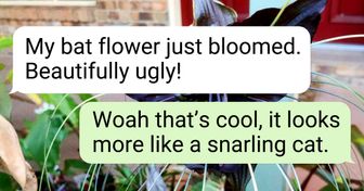 19 Plants That Really Love Showing Off