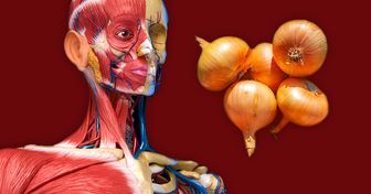 7 Things That Can Happen to Your Body if You Start Eating Onions More Often