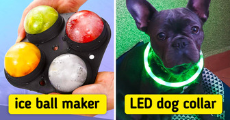 10 Unusual Versions of Ordinary Things That Can Put Your “Groundhog Day” to an End