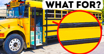 That’s What Black Lines on School Buses Are For