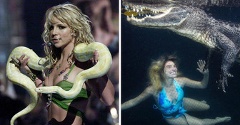 10 Celebrities Who Can Confidently Say, “Danger Is My Middle Name”
