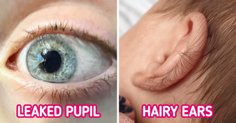 13 People Who Are So Good at Spotting Things, Even Sherlock Holmes Can’t Compete