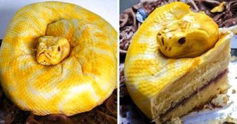 24 Cakes That Change Baking Into an Art Form