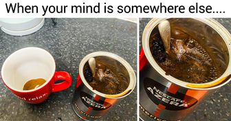 15 Times “Best Moment” Photos Filled People’s Day With Laughter
