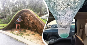 17 Unusual Things That People Spotted While Out and About