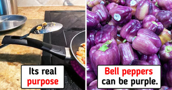 10+ People Showed Us Curious Things They Both Luckily and Accidentally Discovered