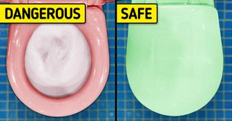Why We Should Always Put the Toilet Lid Down When We Flush