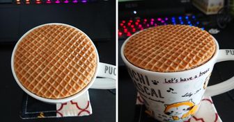 15 Pics That Feel Like Completing a Puzzle