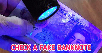 30+ Cool Things From Amazon That Will Get Your Entire Family Put Their Phones Down